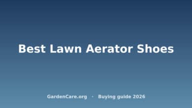 Best Lawn Aerator Shoes