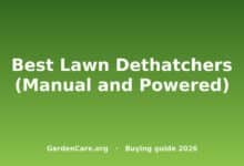 Best Lawn Dethatchers (Manual and Powered)