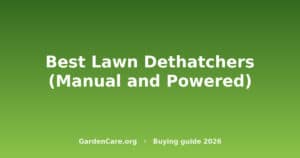 Best Lawn Dethatchers (Manual and Powered)