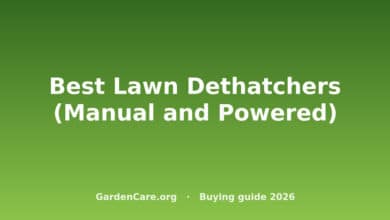 Best Lawn Dethatchers (Manual and Powered)