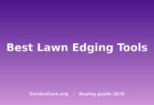 Best Lawn Edging Tools