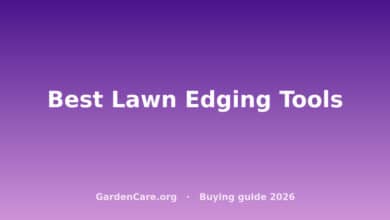 Best Lawn Edging Tools