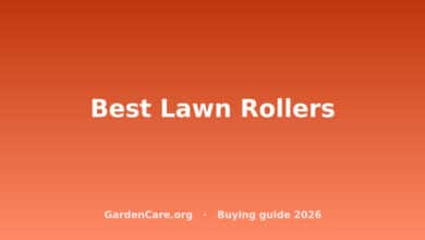 Best Lawn Rollers