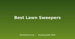 Best Lawn Sweepers