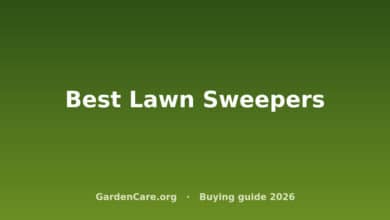 Best Lawn Sweepers