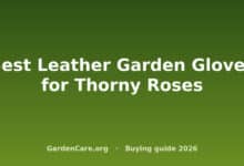 Leather Garden Gloves Thorny Roses — Best Leather Garden Gloves for Thorny Roses