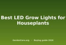 Best Led Grow Lights Houseplants — Best LED Grow Lights for Houseplants