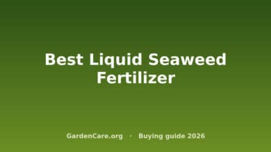 Best Liquid Seaweed Fertilizer