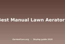 Best Manual Lawn Aerators