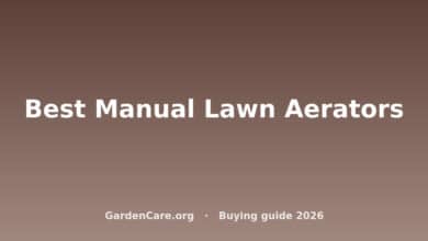 Best Manual Lawn Aerators