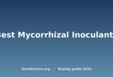 Best Mycorrhizal Inoculants