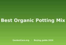 Best Organic Potting Mix