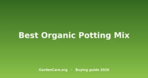 Best Organic Potting Mix