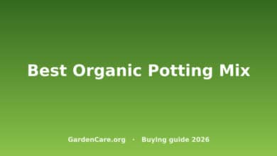 Best Organic Potting Mix