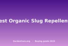 Best Organic Slug Repellents