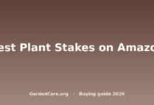 Best Plant Stakes on Amazon