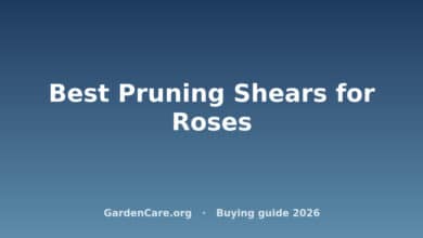 Best Pruning Shears for Roses