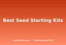 Best Seed Starting Kits