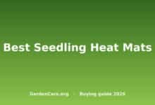 Best Seedling Heat Mats