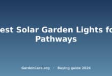 Best Solar Garden Lights for Pathways