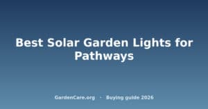 Best Solar Garden Lights for Pathways