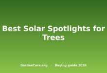 Best Solar Spotlight For Trees — Best Solar Spotlights for Trees