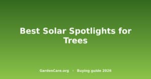Best Solar Spotlight For Trees — Best Solar Spotlights for Trees