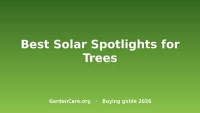 Best Solar Spotlight For Trees — Best Solar Spotlights for Trees