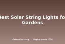 Best Solar String Lights Garden — Best Solar String Lights for Gardens