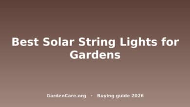 Best Solar String Lights Garden — Best Solar String Lights for Gardens
