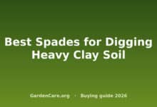 Best Spades for Digging Heavy Clay Soil
