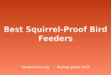 Best Squirrel Proof Bird Feeder — Best Squirrel-Proof Bird Feeders