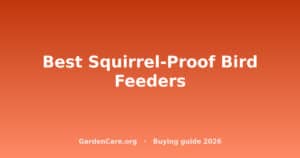 Best Squirrel Proof Bird Feeder — Best Squirrel-Proof Bird Feeders