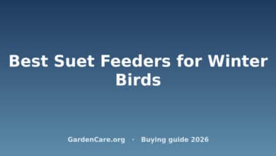 Best Suet Feeders for Winter Birds